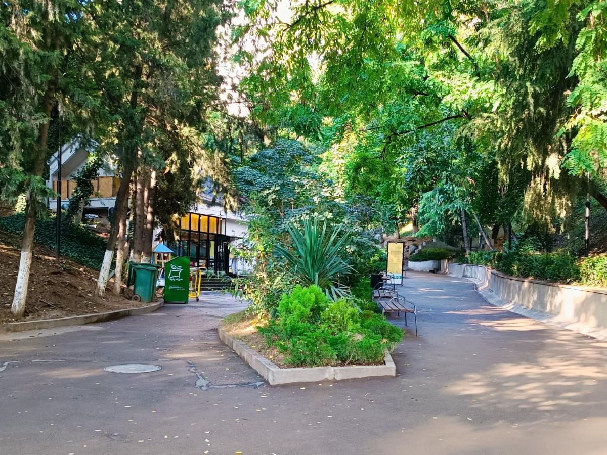 Vake Close To Park Mziuri *