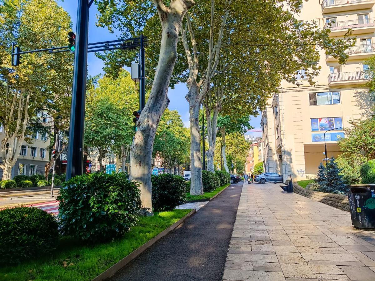 Vake Close To Park Mziuri Apartment Tbilisi
